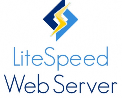 Litespeed Web Server logo