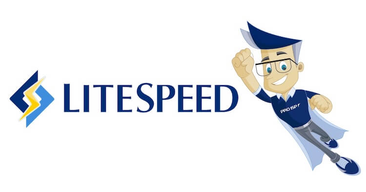 litespeed cache plugin banner litespeed cache plugin banner