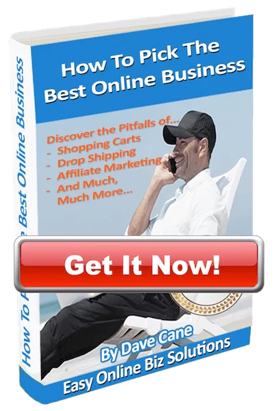 How to Pick the Best Online Business eBook